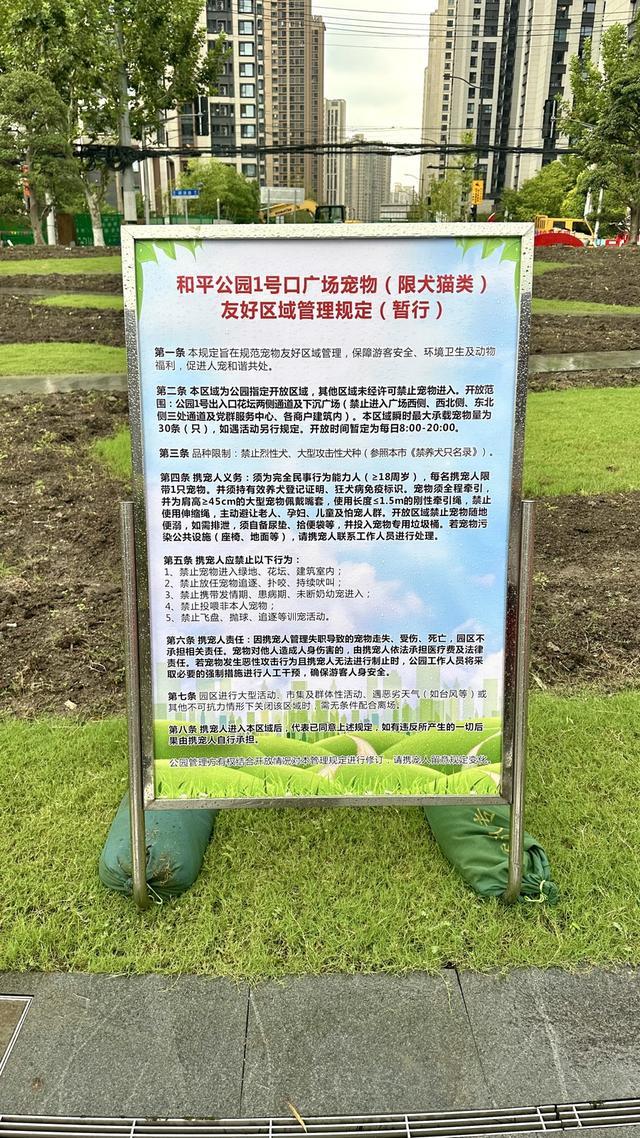 行一周“升级版”游园带来哪些“乐与痛”？冰球突破技巧遛狗、帐篷……上海公园新规施(图3)