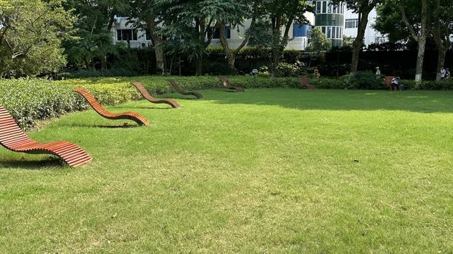 行一周“升级版”游园带来哪些“乐与痛”？冰球突破技巧遛狗、帐篷……上海公园新规施(图7)