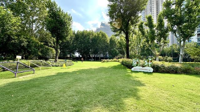 行一周“升级版”游园带来哪些“乐与痛”？冰球突破技巧遛狗、帐篷……上海公园新规施(图11)