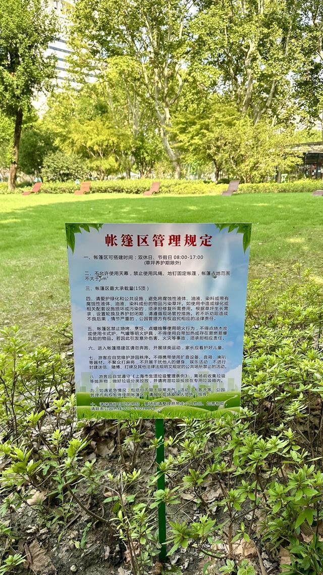 行一周“升级版”游园带来哪些“乐与痛”？冰球突破技巧遛狗、帐篷……上海公园新规施(图17)