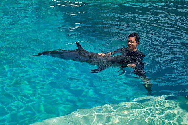 奢华露营体验：家庭评测冰球突破新加坡海洋馆(图3)