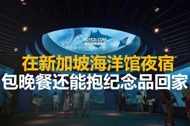 奢华露营体验：家庭评测冰球突破新加坡海洋馆(图2)