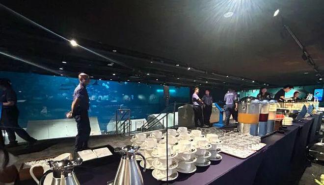 奢华露营体验：家庭评测冰球突破新加坡海洋馆(图6)