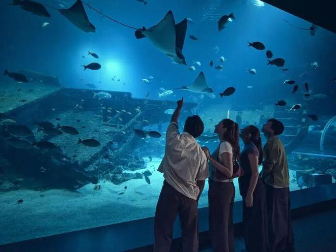 奢华露营体验：家庭评测冰球突破新加坡海洋馆(图8)
