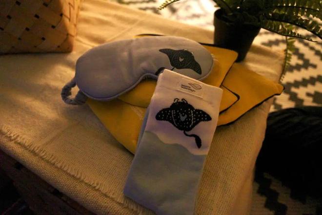 奢华露营体验：家庭评测冰球突破新加坡海洋馆(图10)