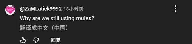 人巡逻如何让印度网民破防冰球突破技巧中印边境机器(图22)