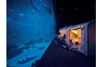 奢华露营体验：家庭评测冰球突破新加坡海洋